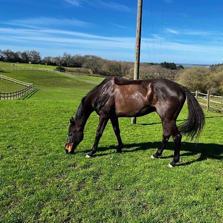 Byre - Farm Cottage On 9 Acre Equestrian Small Holding Солсбері Екстер'єр фото